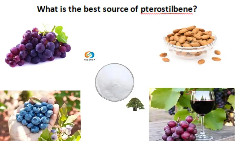 What is the best source of pterostilbene?